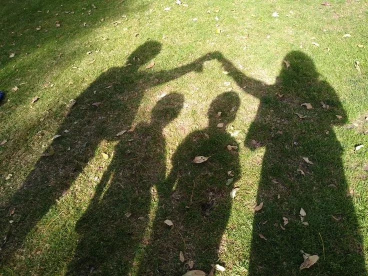 perfect family