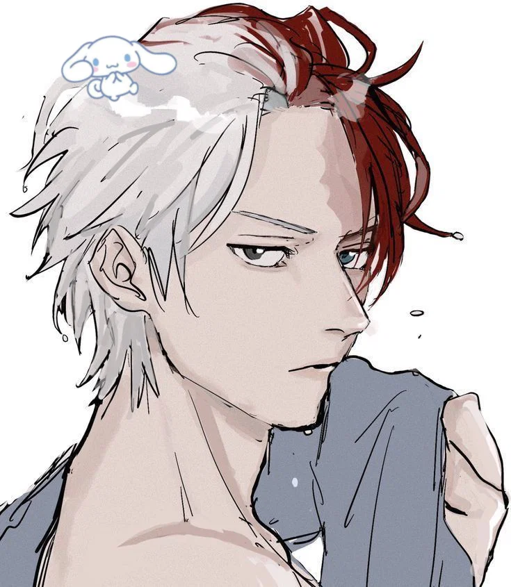 Shoto Todoroki