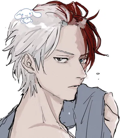 Shoto Todoroki