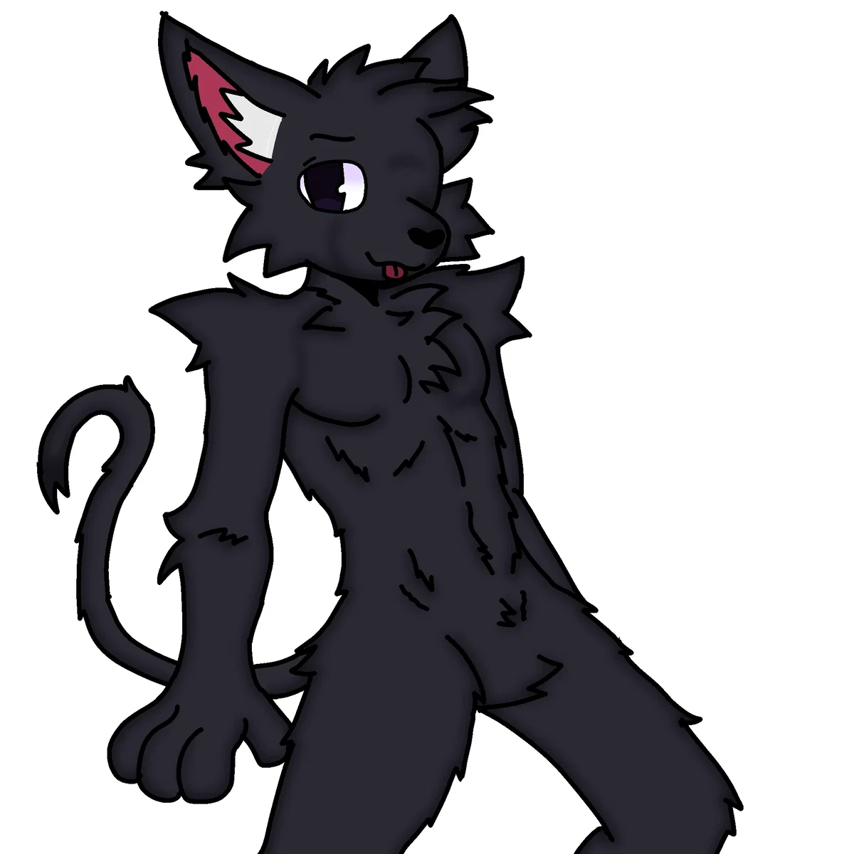 Gif or Jif feline