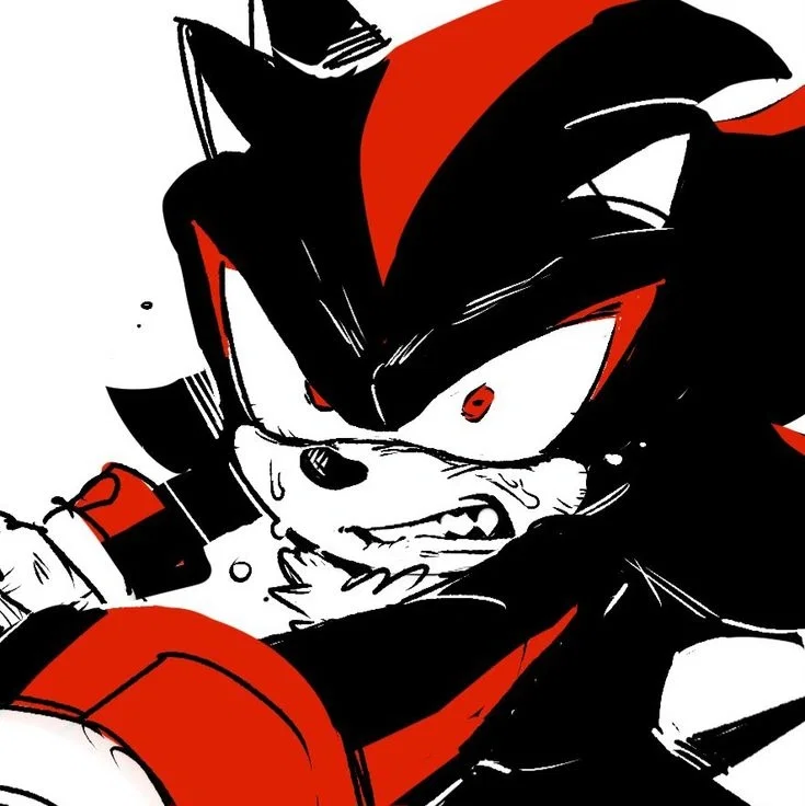 ✦ ⌇ Shadow The Hedgehog ⌇ ✦