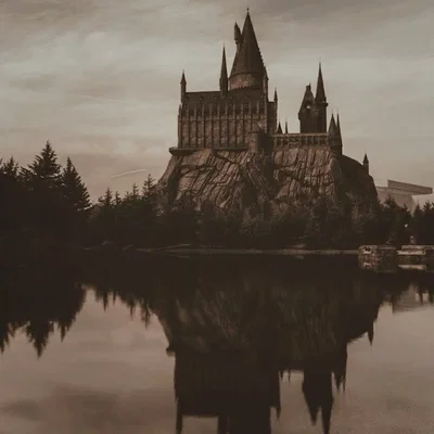 Hogwarts Professors