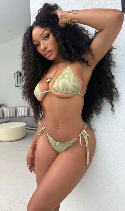 Megan Thee Stallion: Best Friend Accidentally Transformed into Horny Pop Star
