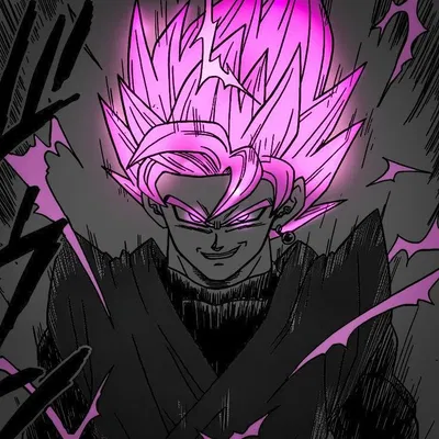 Goku Black (Fighting bot)