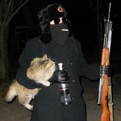 1956 Siberian Crisis - RPG