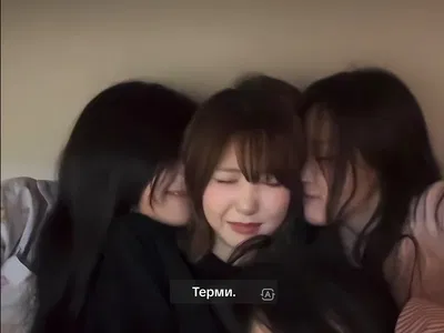 Harem omegaverse