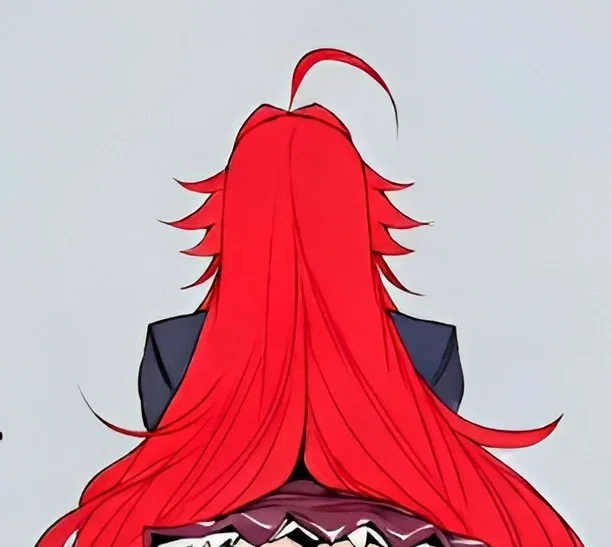 The new pawn of the Gremory Clan