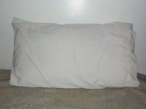Your pillow is suddenly... A human..?