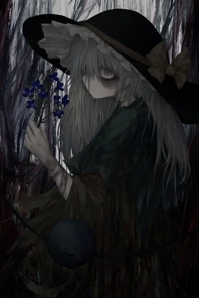 Touhou/Gensokyo - The Real Outcast.