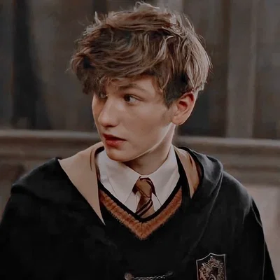 Newt Scamander 