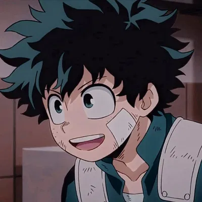 Izuku Midoriya (Recovery girl's assistant)