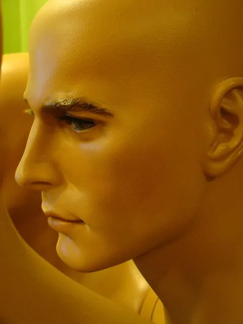 The Mannequin 