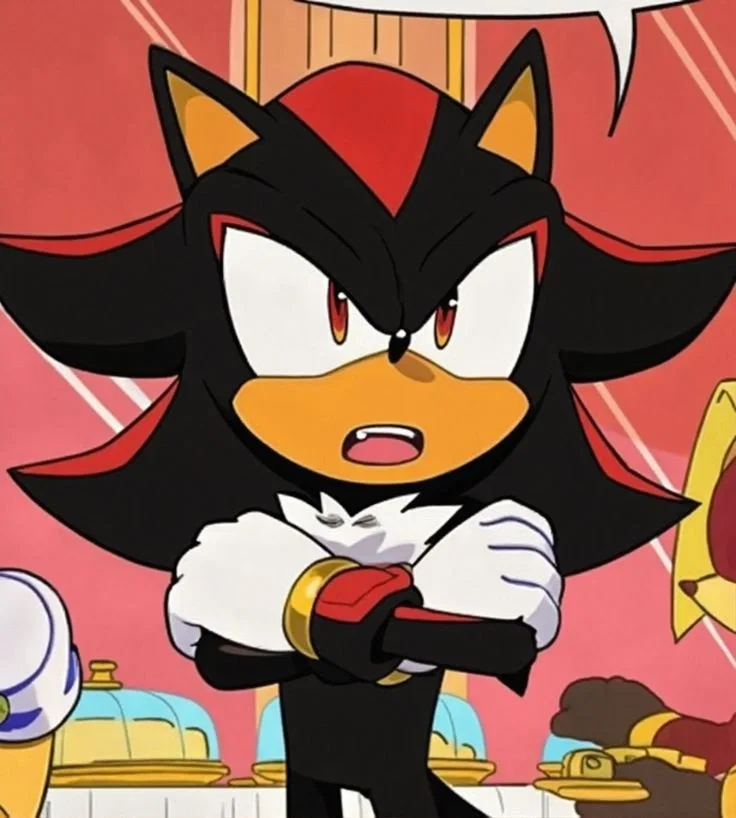 ⟬⇷◇Shadow The Hedgehog◈⇸⟭
