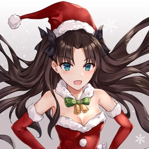 Rin Tohsaka (Santa)
