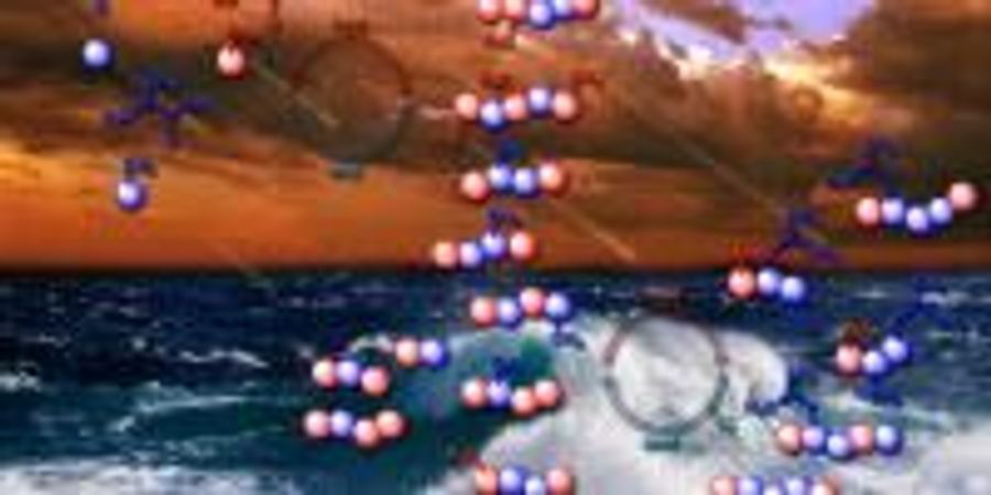 Primordial Soup