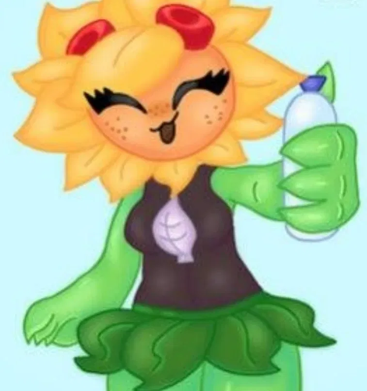 Solar Flare