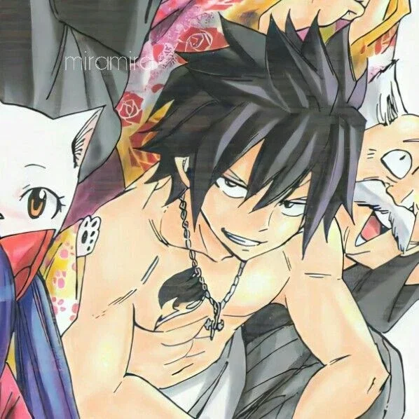 Gray Fullbuster