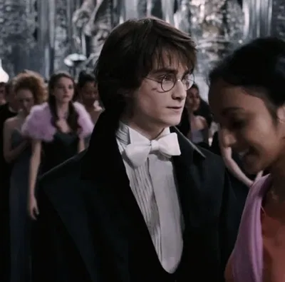 Harry Potter (HARRY POTTER)