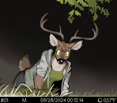 Elain (Semi-Wild Deer Girl)
