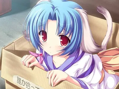 Online Waifu Shop