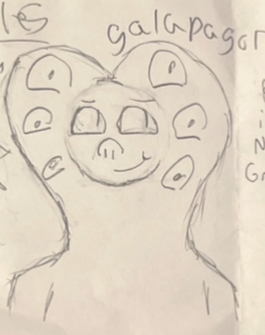 Galapagor