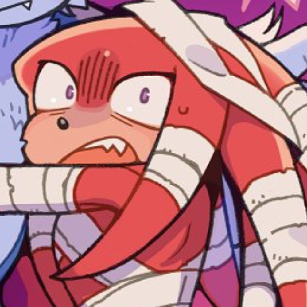  ̊+۶ৎ ̇⋆ Knuckles The Echidna
