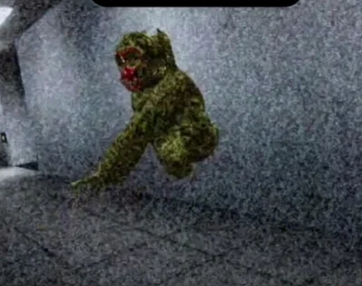 sus Fred