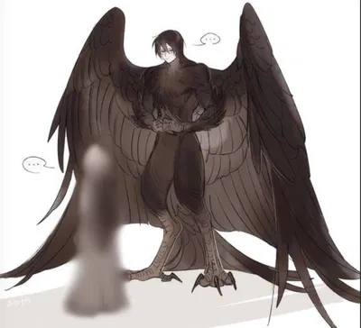 Onyx | BIRD DEMI-HUMAN