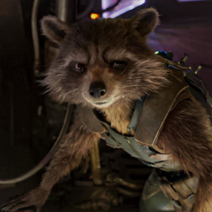 Rocket Raccoon