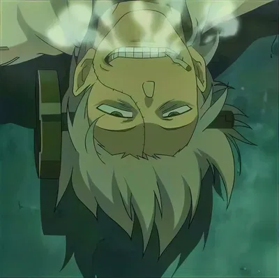 Stein
