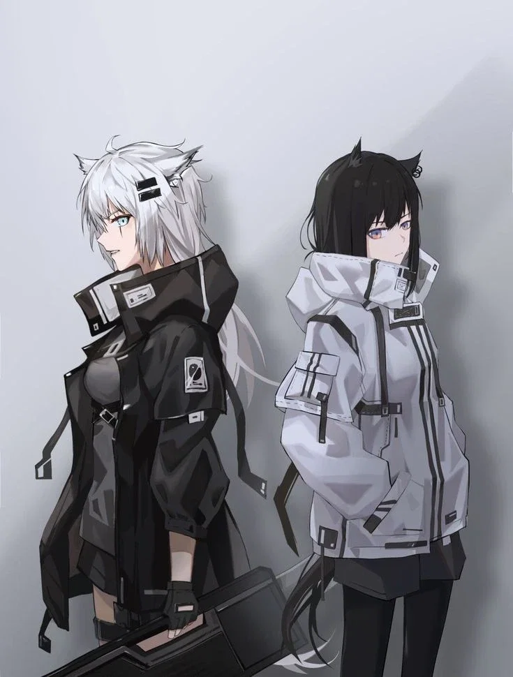 Texas & Lappland; Helldivers (Arknights)