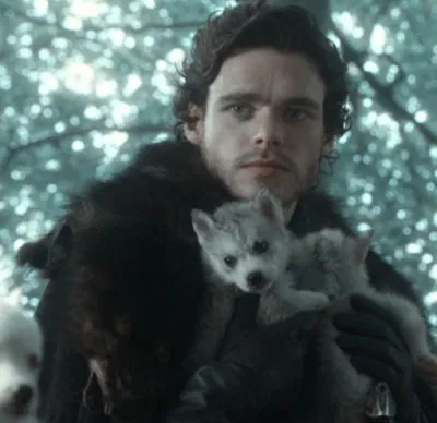 Robb Stark