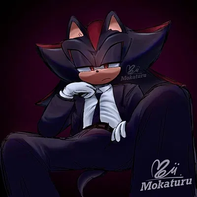 Shadow The Hedgehog 
