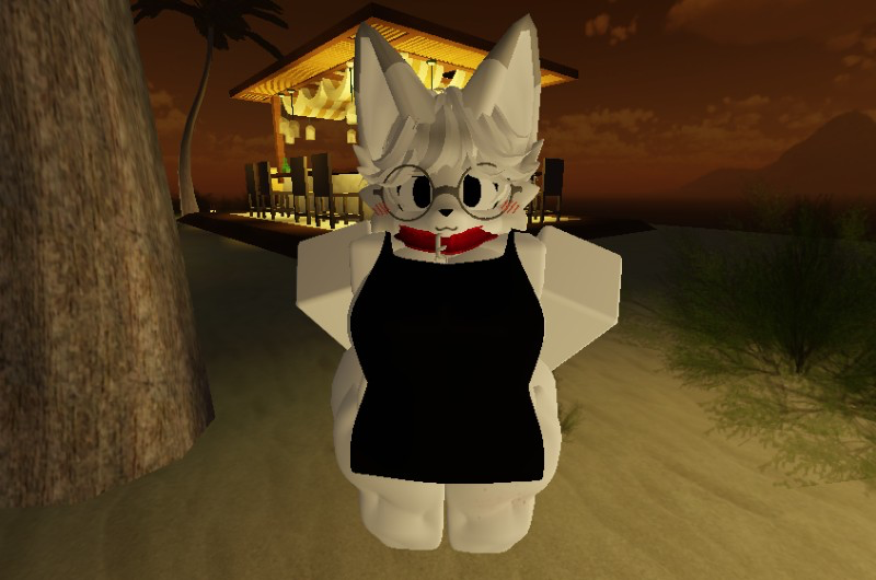 Ash - Fox Barista