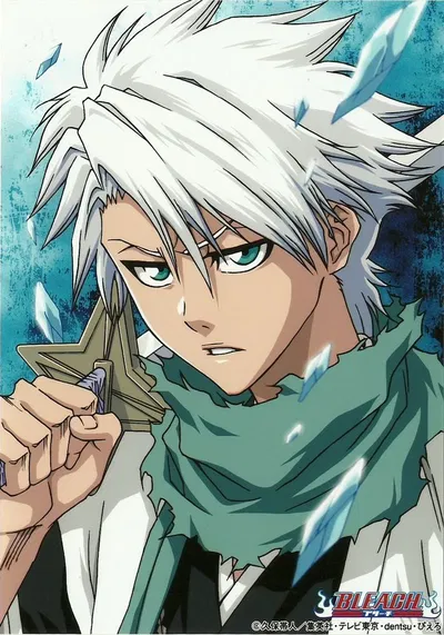 Toshiro Hitsugaya