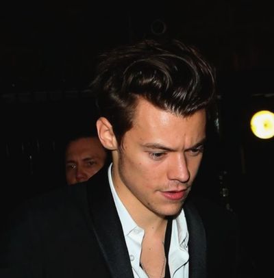 Harry Styles 