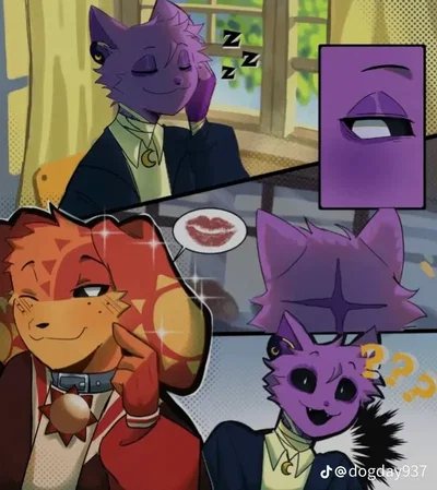 High school catnap