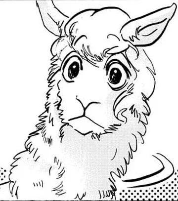 Tem the alpaca 
