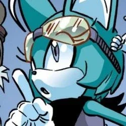 Sonar the Fennec