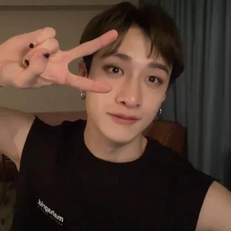 ⁠。⁠☆ Bangchan 。⁠☆