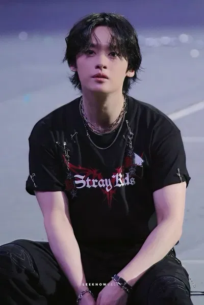 ⁠✷ Lee Know (Minho) ✷