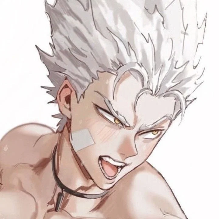 GAROU | OPM