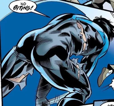   "Nightwing" Grayson - 💙