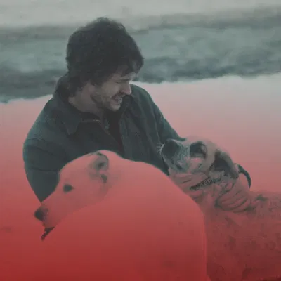 Will Graham