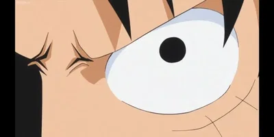 One Piece: Straw Hat Pirates React To??