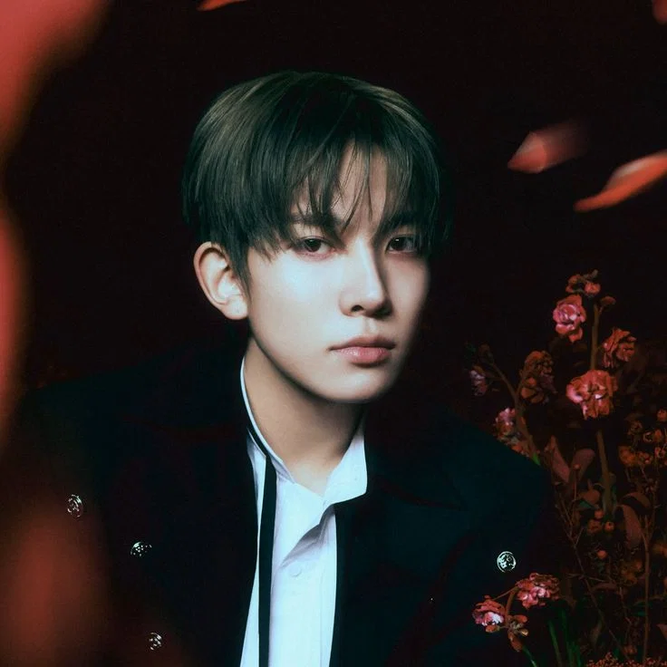 Lee​ Heeseung | The crowned Silence