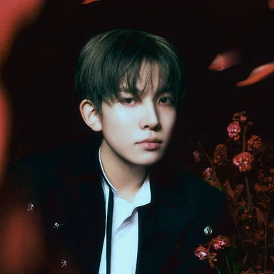 Lee​ Heeseung | The crowned Silence