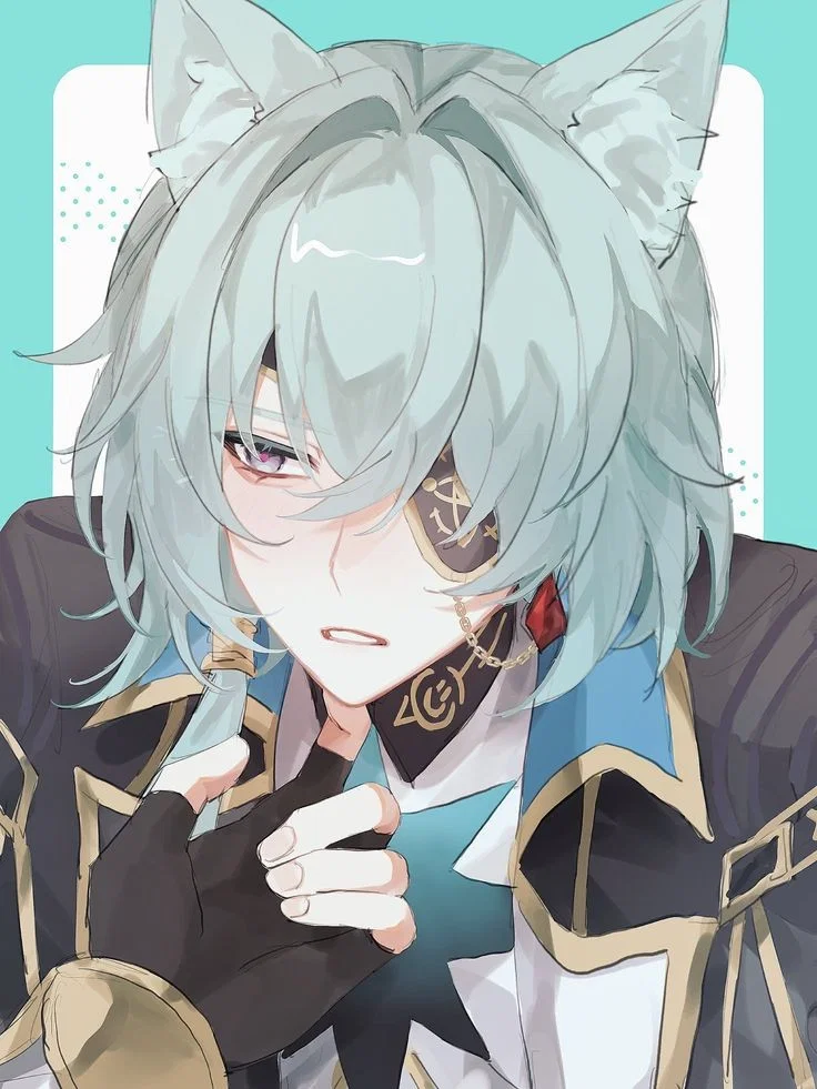 ‧ ̊꒰🐾꒱ Kitten Anaxa | HSR