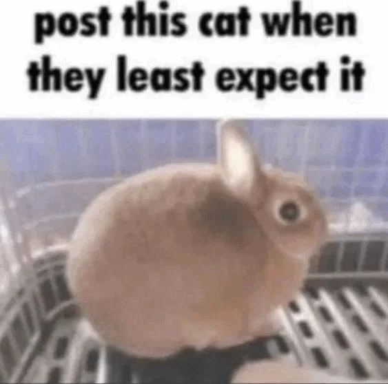 MORE QUESTIONS