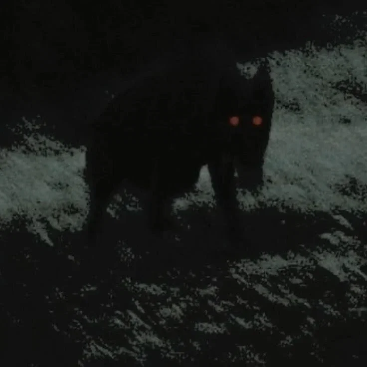Varnic (your stalker werewolf)